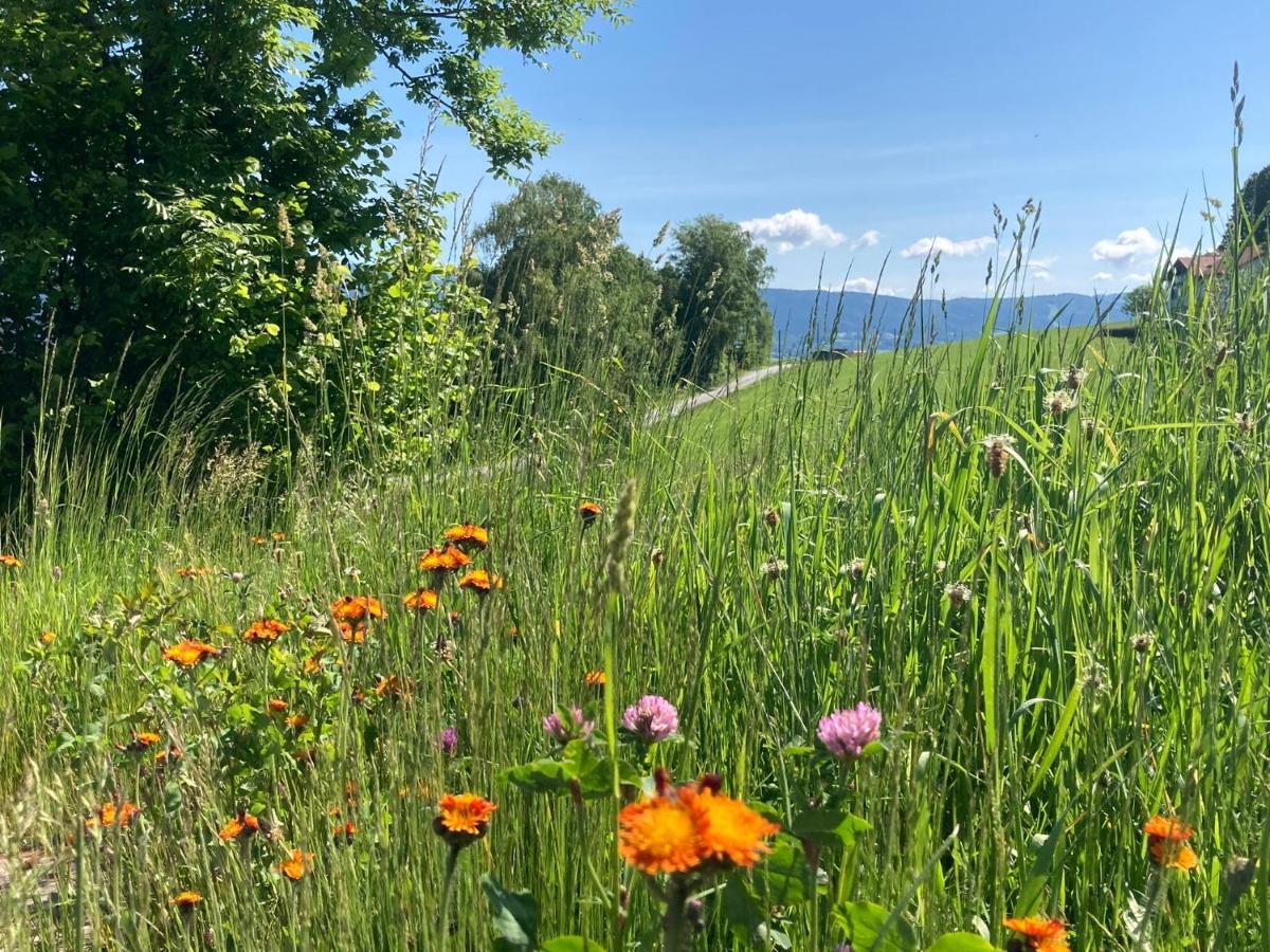 Lichteck - Helle Ferien Lägenhet Breitenberg  Exteriör bild