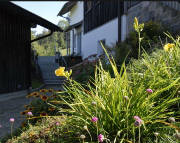 Lichteck - Helle Ferien Lägenhet Breitenberg  Exteriör bild